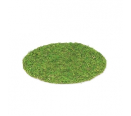 Stalo padėkliukas, samaninis (35 cm)