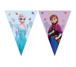 Vėliavėlių girlianda "Frozen Wonder" (9 vėliavėlės)